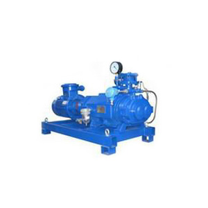 LG干式無油螺桿真空泵