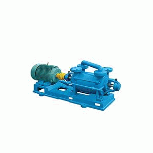 2SK型水環(huán)式真空泵